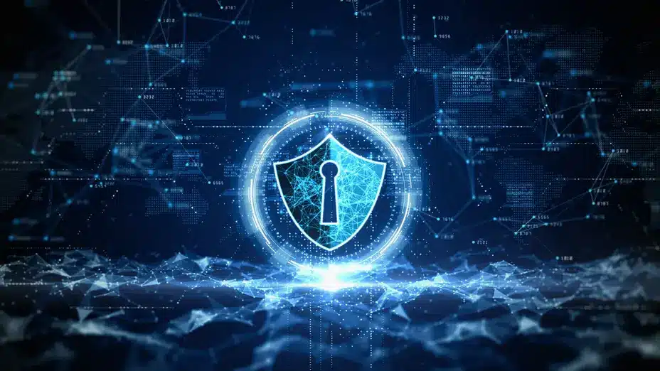 Digital Law