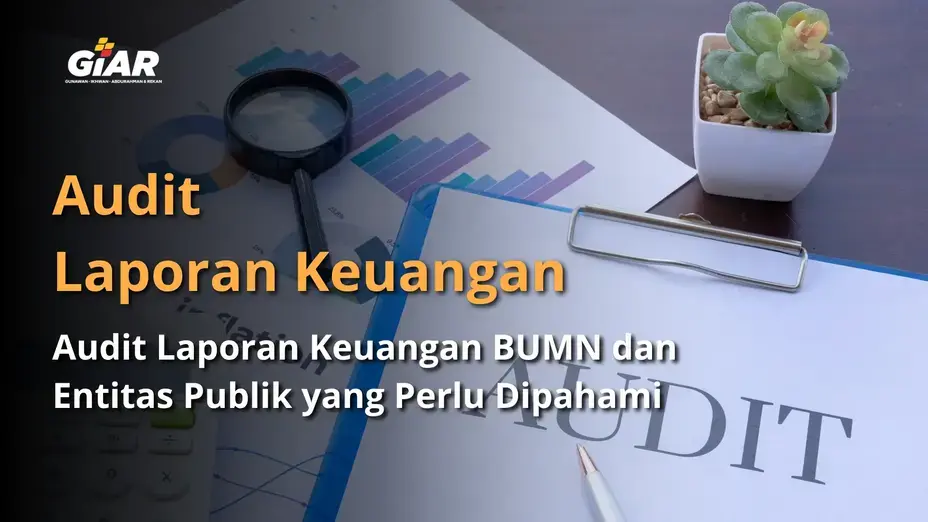 audit laporan keuangan BUMN dan entitas akuntabilitas publik